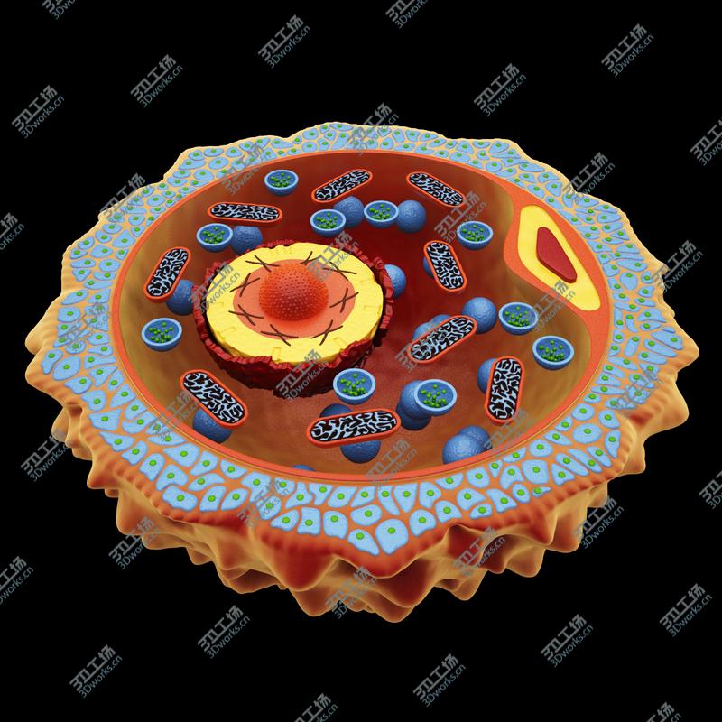 images/goods_img/20210313/Microscopic Collection/3.jpg